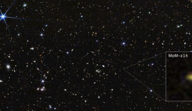 Samolot A-29 Super Tucano. Łowca Shahedów i maszyna CAS dla Polski