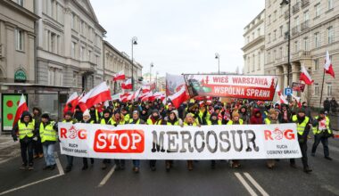 Tracimy udział w Mercosurze na rzecz Chin. "Walczymy o utrzymanie tego, co mamy"