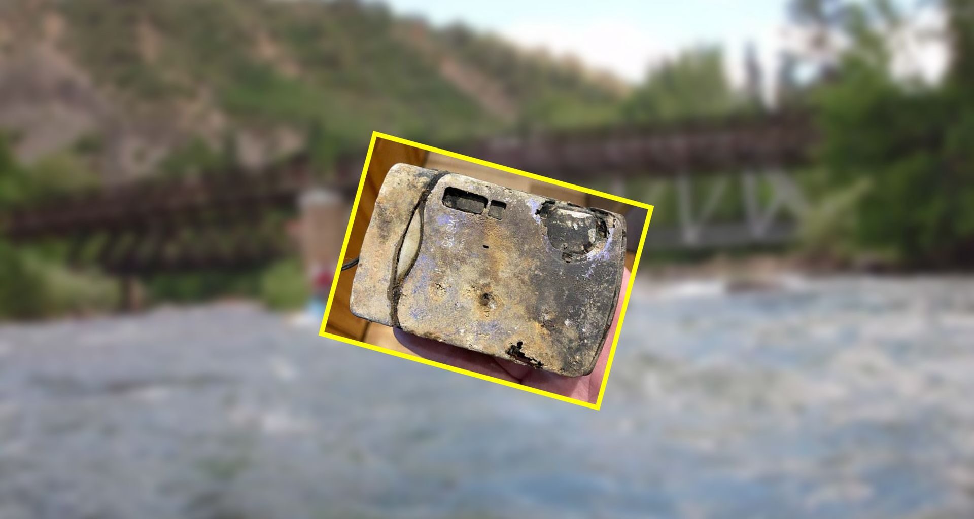 Polacy uwielbiają te warzywa. Mogą pomagać w walce z jedną chorobą