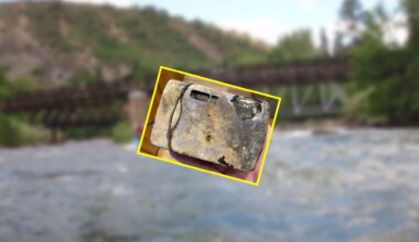 Polacy uwielbiają te warzywa. Mogą pomagać w walce z jedną chorobą