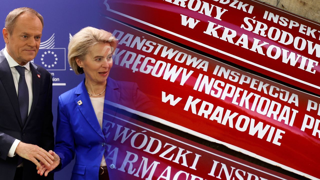 Albo reforma inspekcji pracy, albo 2 mld euro kary. To nam grozi [NEWS MONEY.PL]