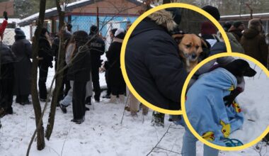 Ewakuacja schroniska w Sobolewie. Oto co wiemy do tej pory [PODSUMOWANIE]