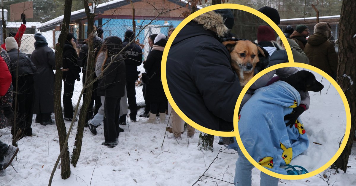 Ewakuacja schroniska w Sobolewie. Oto co wiemy do tej pory [PODSUMOWANIE]