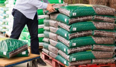 Czesi wściekli na Polskę. Polskie Linie Kolejowe odpierają zarzuty