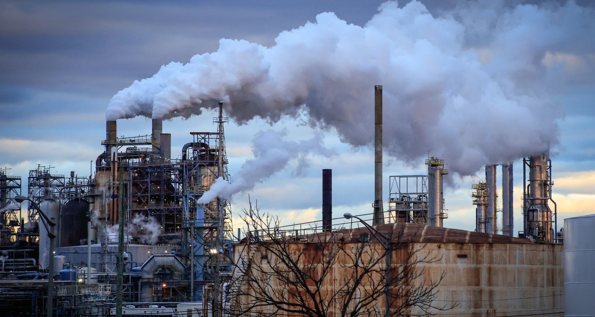 Ile kosztuje dolar? Kurs dolara do złotego PLN/USD 12.01.2026