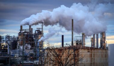 Ile kosztuje dolar? Kurs dolara do złotego PLN/USD 12.01.2026