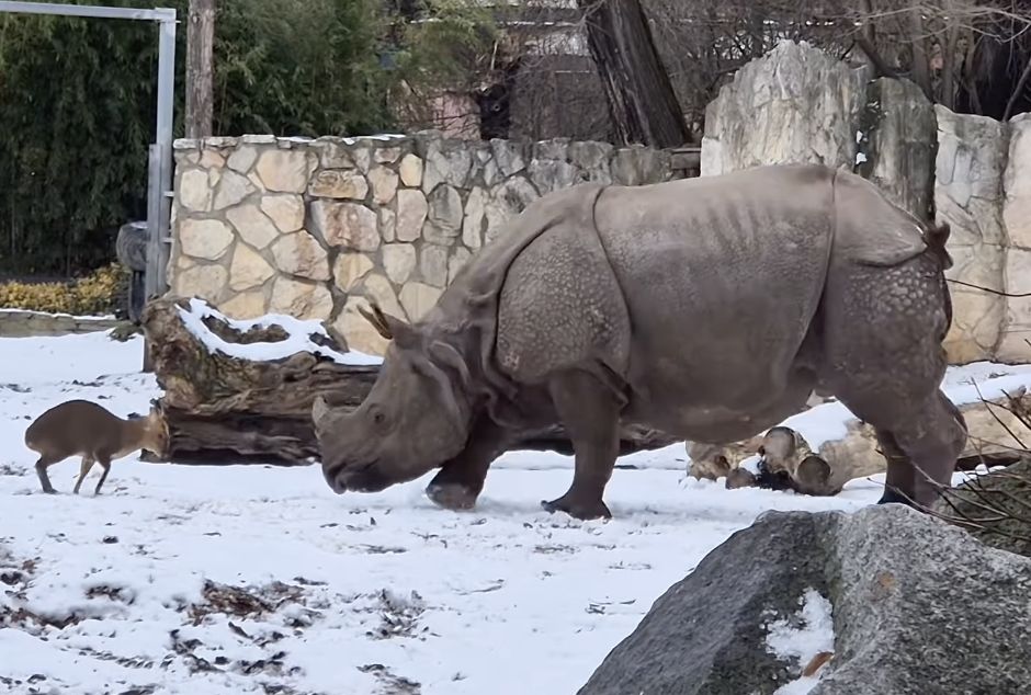 Tragiczna katastrofa awionetki. Zginął znany muzyk