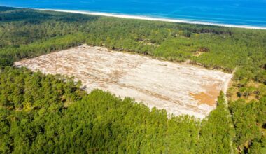 Finanse Rosjan w kolejnej pułapce. Skutkuje falą niewypłacalności firm
