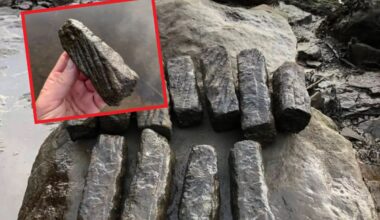 Autobus "płonął jak pochodnia". Wstrząsający widok w Bydgoszczy