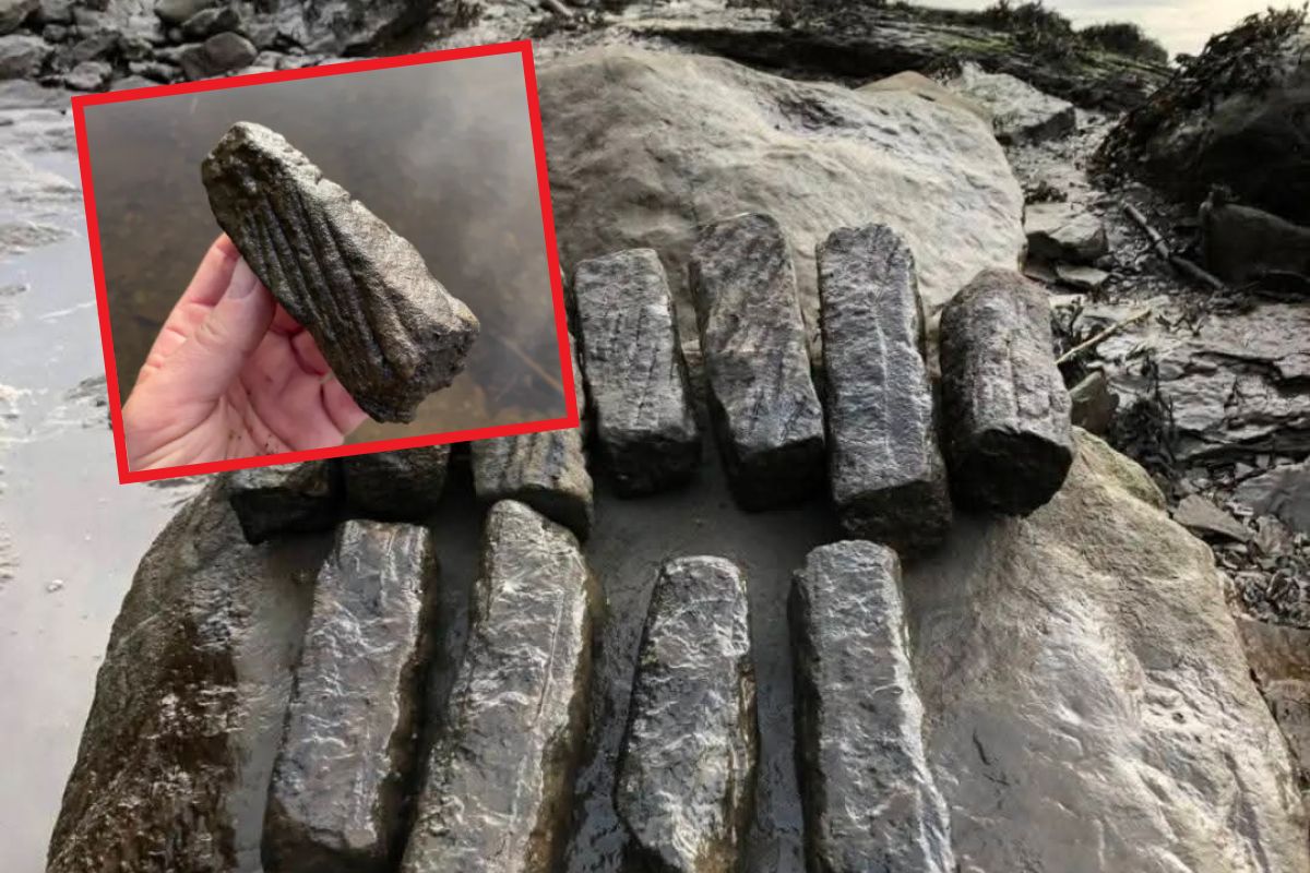 Autobus "płonął jak pochodnia". Wstrząsający widok w Bydgoszczy