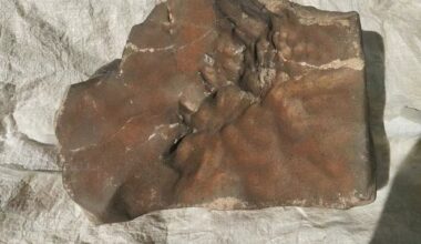 Klamka zapadła. To już jawny sojusz przeciwko Turcji