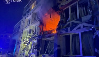 Dlaczego rośnie popularność Brauna? Ekspert wskazał przyczyny