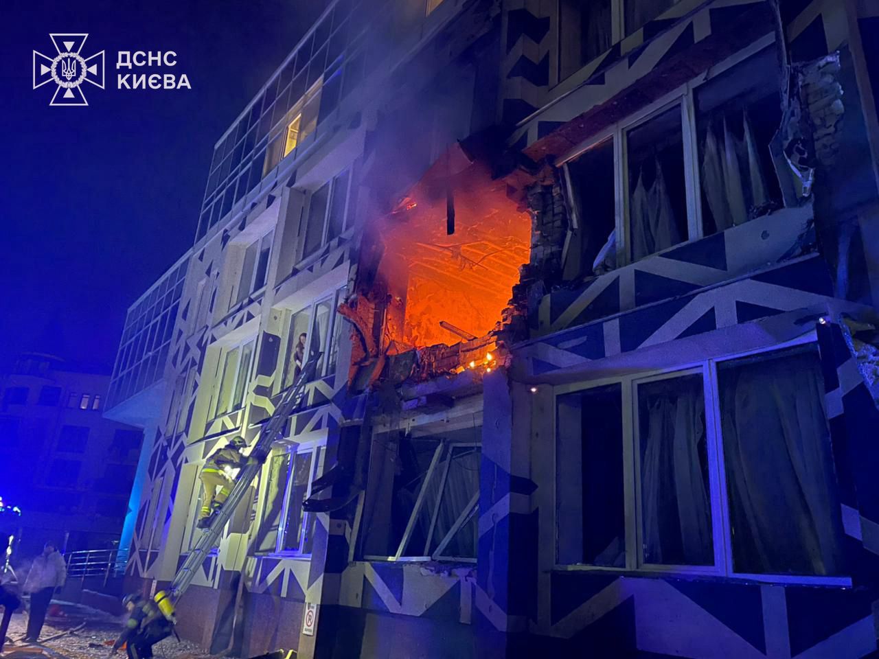 Dlaczego rośnie popularność Brauna? Ekspert wskazał przyczyny