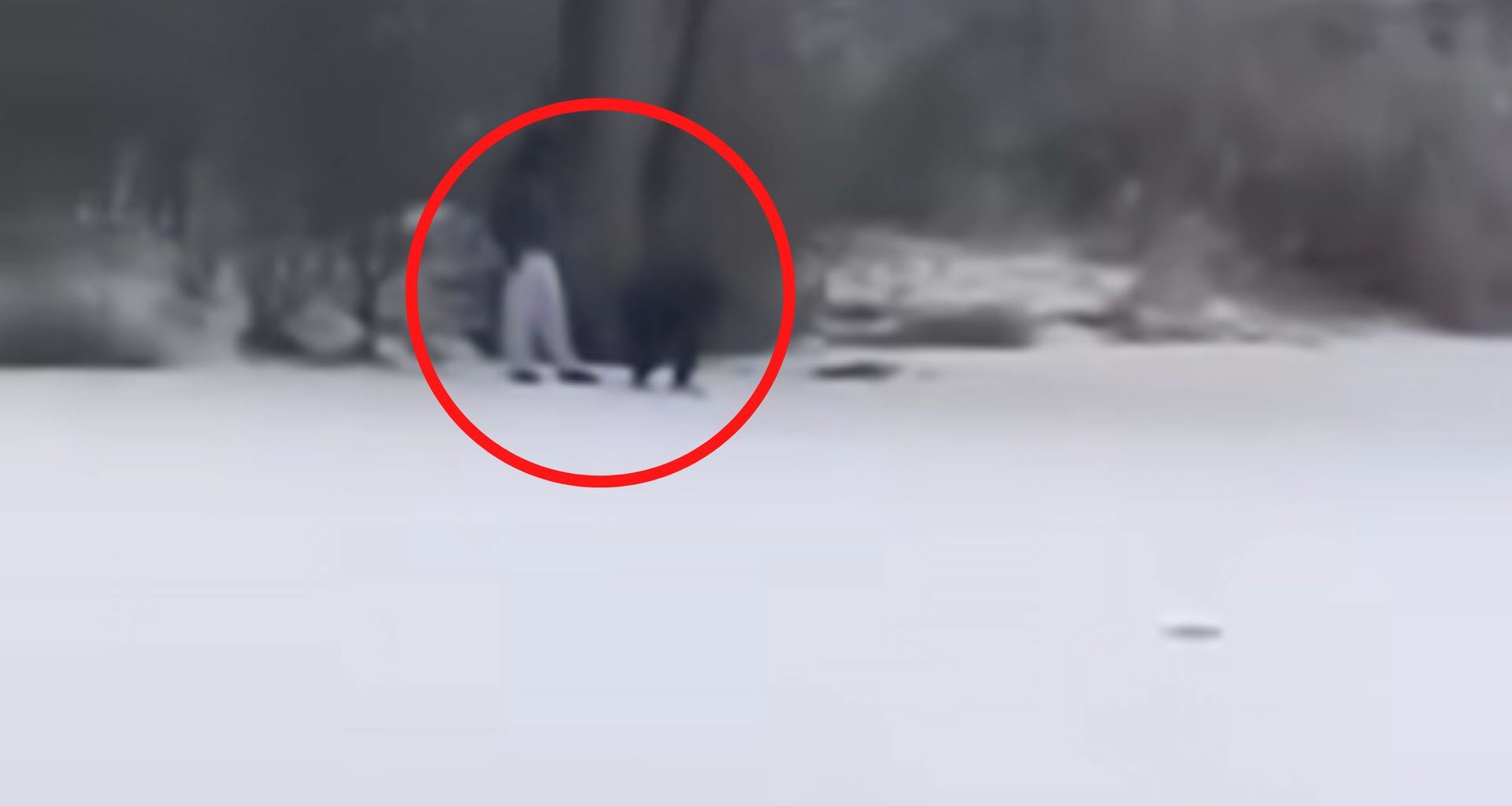 Nowe szkolenia wojskowe. Zapraszają chętnych. Płacą nawet 6,3 tys. zł