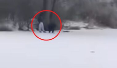 Nowe szkolenia wojskowe. Zapraszają chętnych. Płacą nawet 6,3 tys. zł