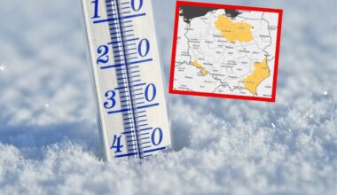 "Wątpię, żeby pomogli". Trump znów nieprzychylnie o NATO