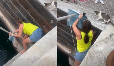 Francja ostrzega USA. Trump pod presją Europy