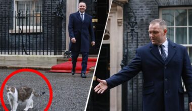 Tragiczna seria na Syberii. Śledztwo po śmierci dziewięciorga noworodków