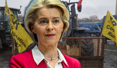 Umowa z Mercosur. "Realne zagrożenie dla opłacalności produkcji żywności"