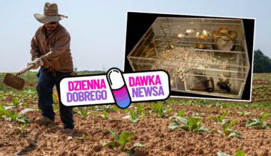 Ksiądz Picur szczerze o spowiedzi. W komentarzach aż zawrzało