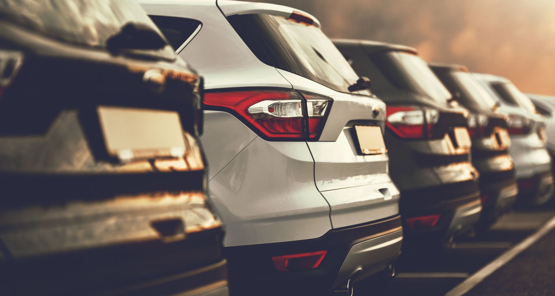 Teraz to jest hitem w Zakopanem. Turyści zapomnieli już o kapibarze