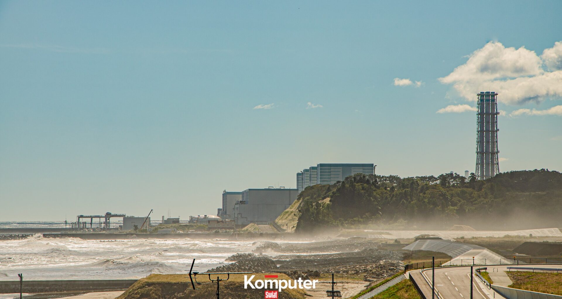 Niezwykłe odkrycie w Fukushimie. Naukowcy znaleźli nietypowe formy życia