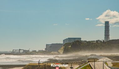 Niezwykłe odkrycie w Fukushimie. Naukowcy znaleźli nietypowe formy życia