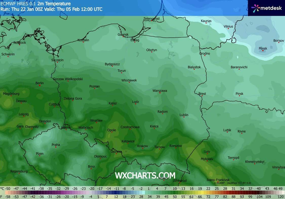 Wysokie temperatury na początku lutego