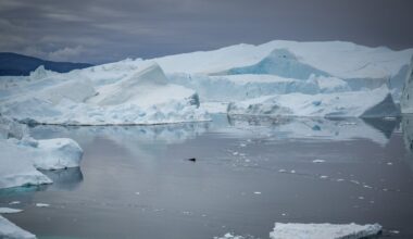 Grenlandia kryje zaskakującą przeszłość. Niepokojące wnioski naukowców