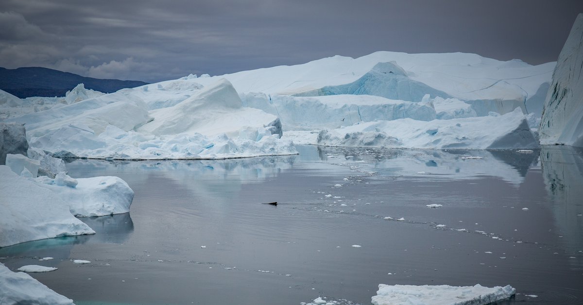 Grenlandia kryje zaskakującą przeszłość. Niepokojące wnioski naukowców