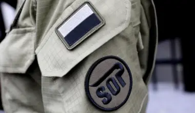 Funkcjonariusz i logo Służby Ochrony Państwa