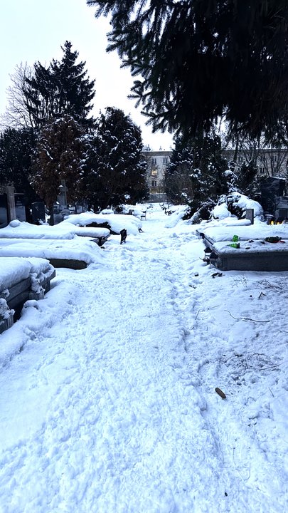 Cmentarz ewangelicko-augsburski w Warszawie