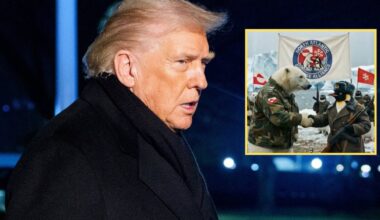 Tak Grenlandia będzie bronić się przed Donaldem Trumpem. Nagranie hitem sieci