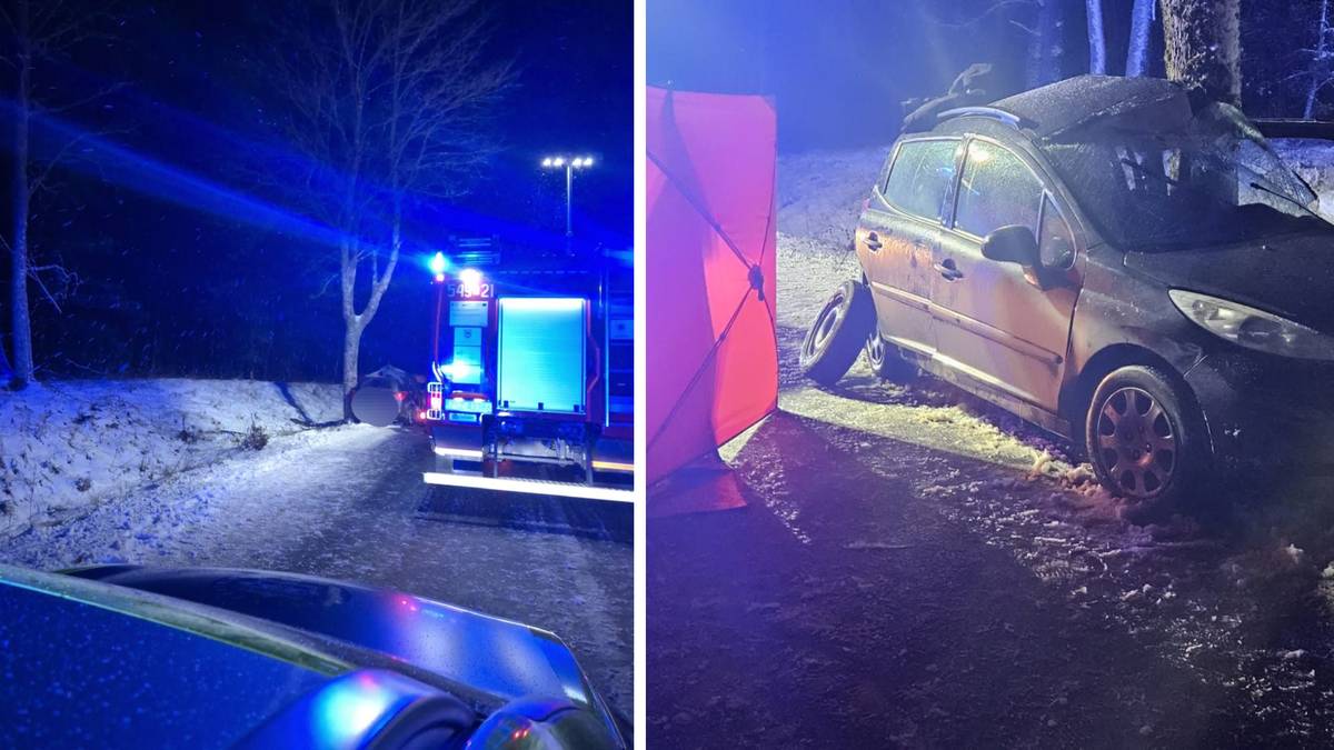 Samoch&oacute;d po wypadku drogowym uderzył w drzewo, widoczne fragmenty karoserii i poduszki ratunkowej.