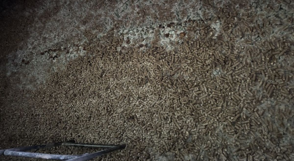 Źródło: Krajowa Administracja Skarbowa