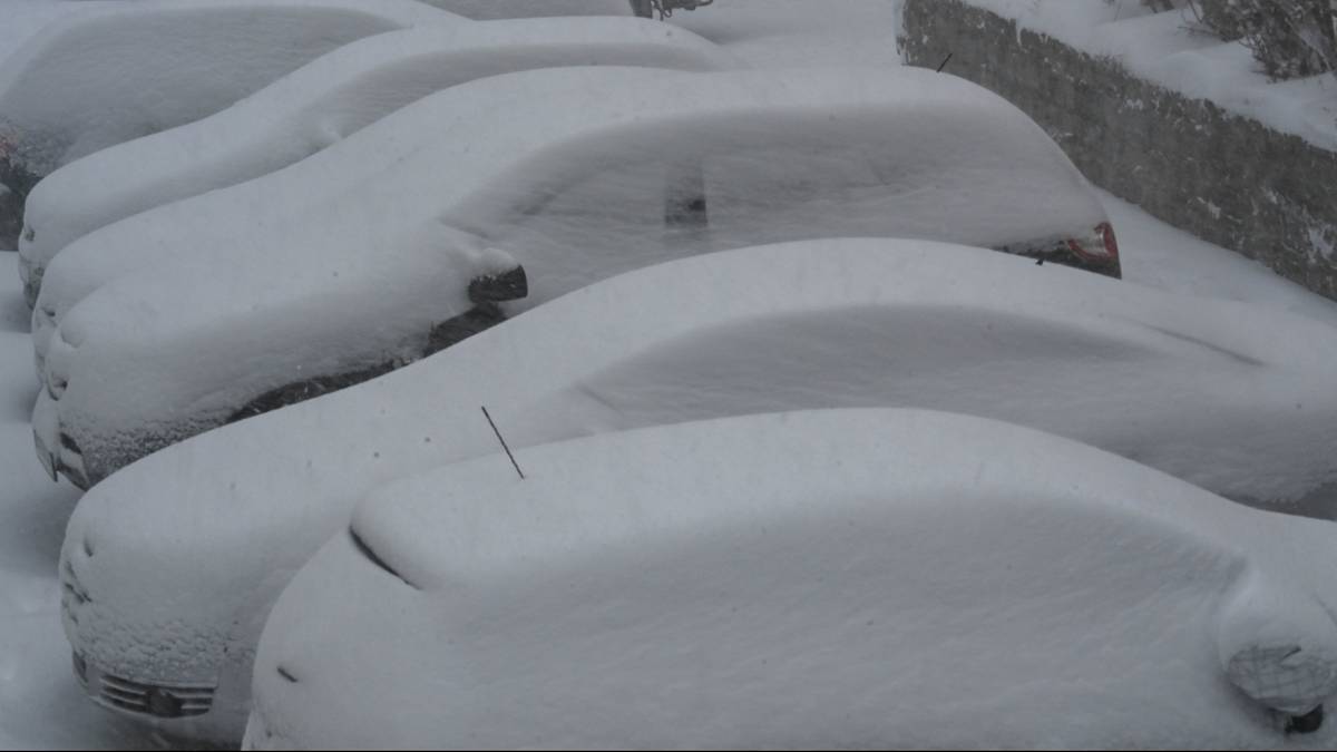 Rząd zaparkowanych samochod&oacute;w pokrytych grubą warstwą śniegu.
