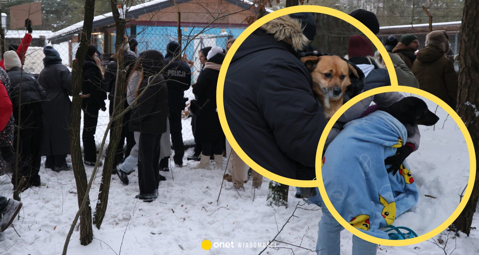 Ewakuacja schroniska w Sobolewie. Oto co wiemy do tej pory [PODSUMOWANIE]