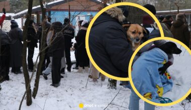 Ewakuacja schroniska w Sobolewie. Oto co wiemy do tej pory [PODSUMOWANIE]