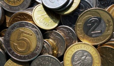 NBP wypuścił nową monetę. Idealna dla kolekcjonerów