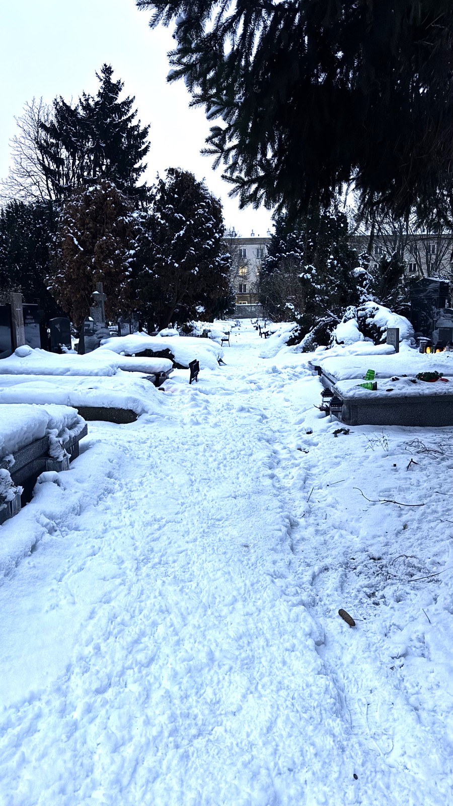 Cmentarz ewangelicko-augsburski w Warszawie