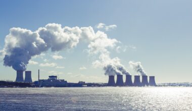 Amerykanie zabierają głos na temat polskiego atomu. Zdecydują dwa kroki - Strefa Biznesu