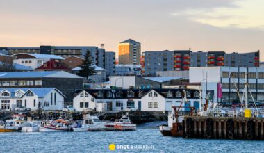 Islandia oczekuje wyjaśnień od USA. Chodzi o wypowiedź o "stanie nr 52"