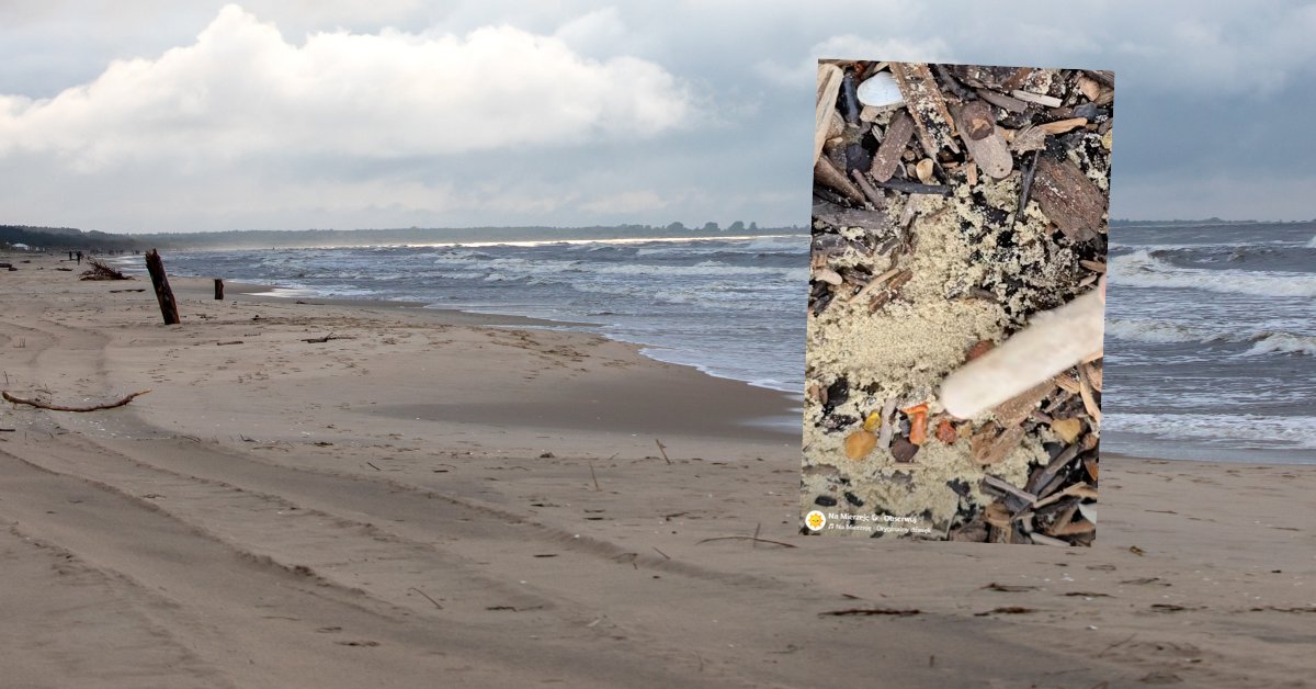 Pokazali, co znaleźli na plaży w Stegnie po sztormie. "Wszyscy na to czekali" - Onet