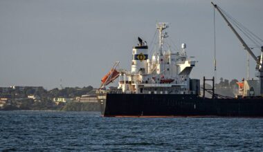 Fragment białego statku towarowego z dźwigiem pokładowym na tle wody i lądu na horyzoncie.