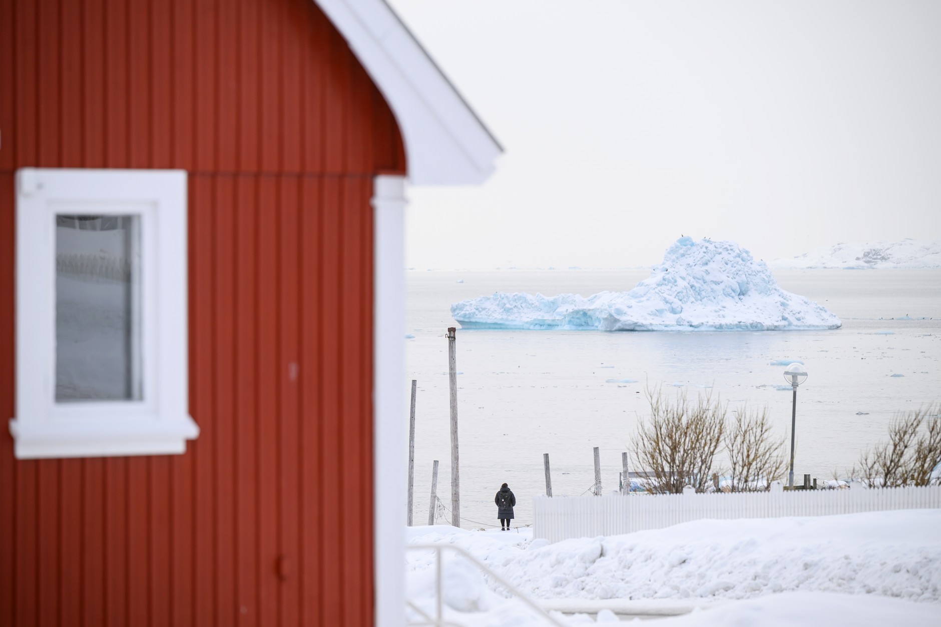 Kobieta spogląda na krajobraz w Nuuk na Grenlandii (zdj. ilustracyjne)