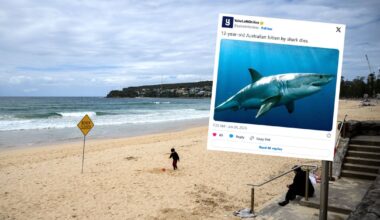 Nie żyje 12-latek zaatakowany przez rekina w Sydney. Lekarze byli bezradni