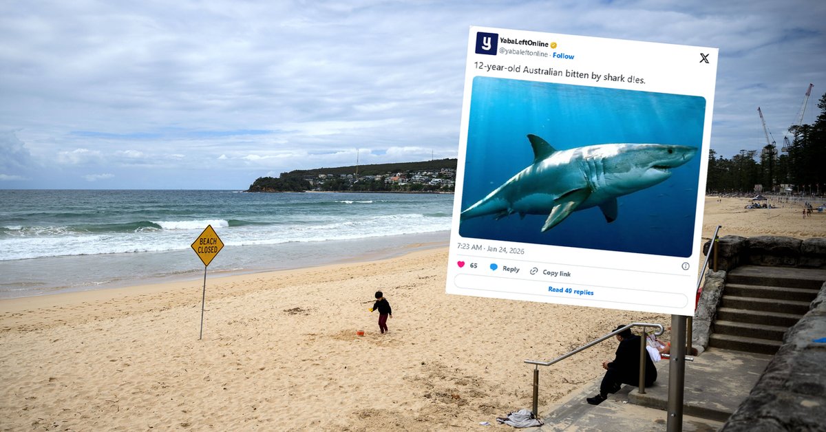 Nie żyje 12-latek zaatakowany przez rekina w Sydney. Lekarze byli bezradni