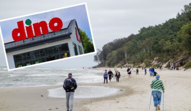 Długi urlop latem nie w Dino? Pracownicy sieci mieli otrzymać zaskakujące wytyczne