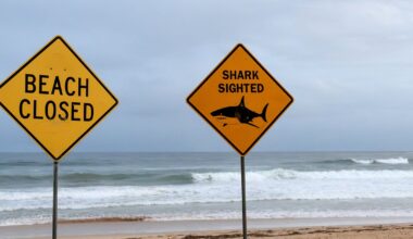 Takiej sytuacji jeszcze nie było. Seria ataków rekinów w Australii - Onet