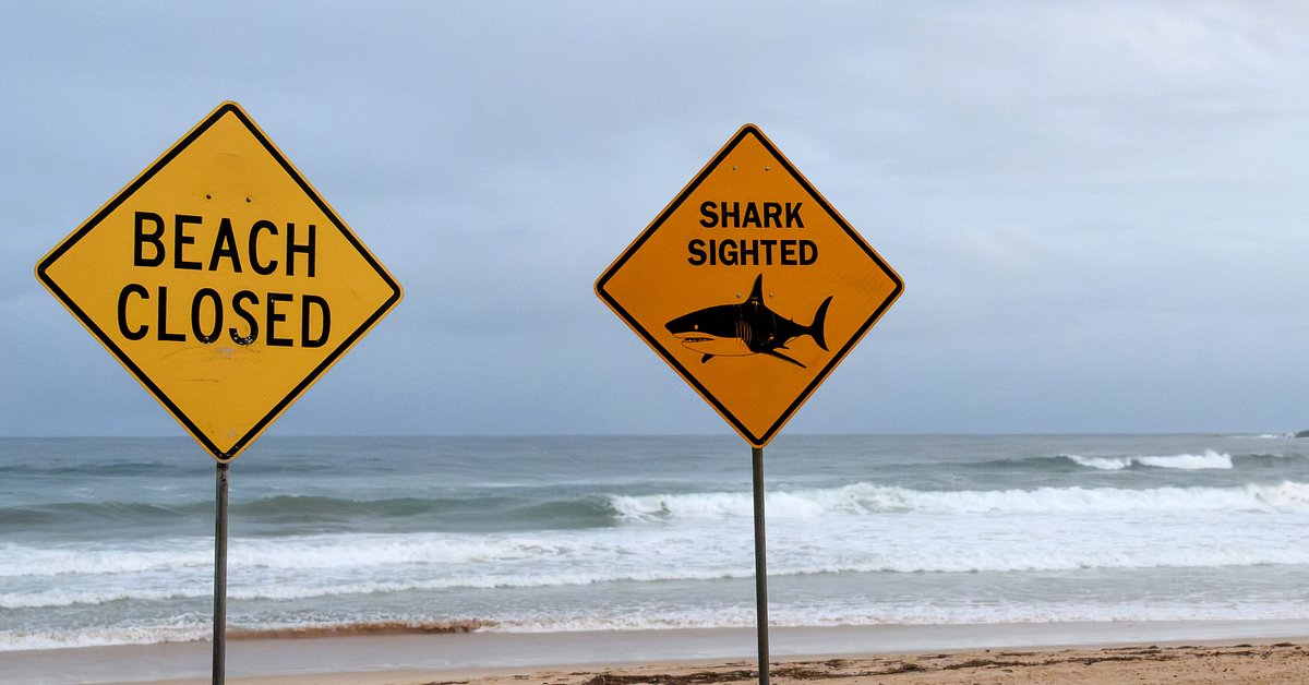 Takiej sytuacji jeszcze nie było. Seria ataków rekinów w Australii - Onet